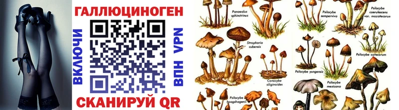 Псилоцибиновые грибы ЛСД Нижние Серги