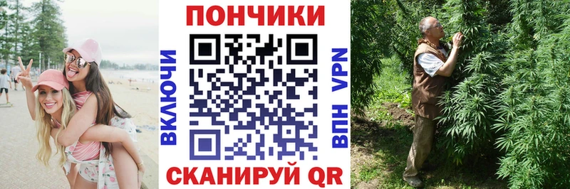 Шишки марихуана марихуана мориарти как зайти Нижние Серги